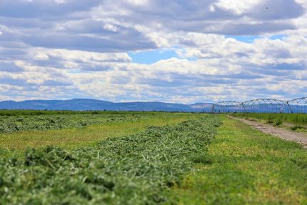 Property for sale in Harney County, Oregon