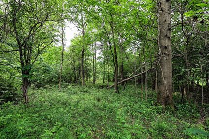 Timberland Property for sale in Van Buren County, Michigan