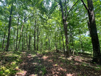 Property for sale in Giles County, Virginia