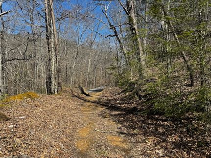 Property for sale in Campbell County, Tennessee