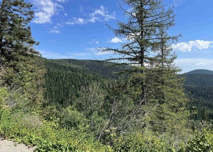 Property in Spokane County, Washington