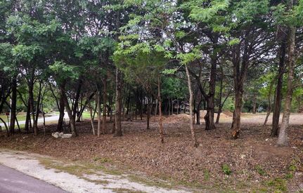 Property in Ellis County, Texas