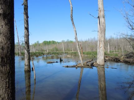 Property for sale in Alamance County, North Carolina