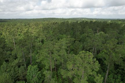 Property for sale in Houston County, Texas