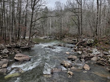 Hunting Land for sale in Fentress County, Tennessee