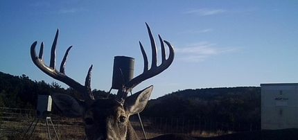 Ranch Property for sale in Edwards County, Texas