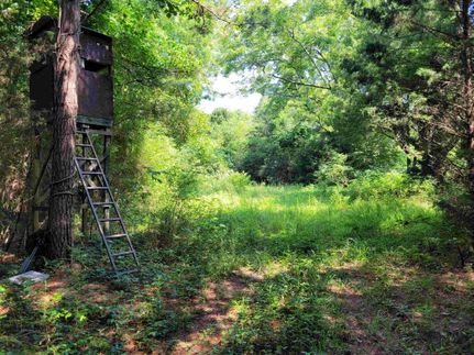 Undeveloped Land for sale in Chambers County, Alabama