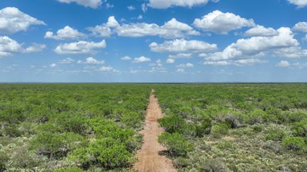 Property for sale in La Salle County, Texas