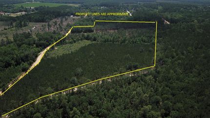 Hunting Land for sale in Orangeburg County, South Carolina