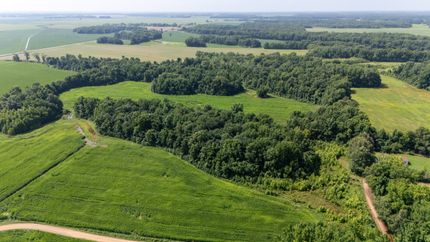 Timberland Property for sale in Phillips County, Arkansas