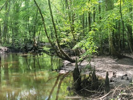 Riverfront Property for sale in Johnson County, Georgia