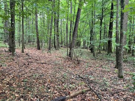 Property for sale in Bladen County, North Carolina