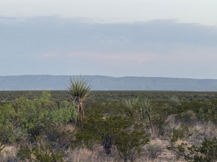 Property for sale in Terrell County, Texas