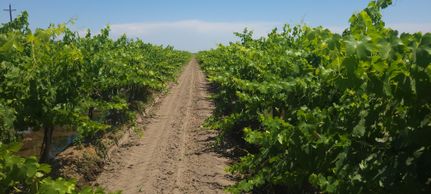 Property for sale in Madera County, California