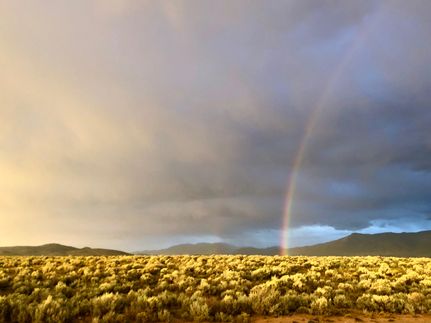 Property for sale in Taos County, New Mexico