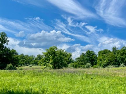 Undeveloped Land for sale in Tazewell County, Illinois