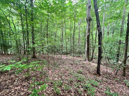 Property for sale in Elbert County, Georgia