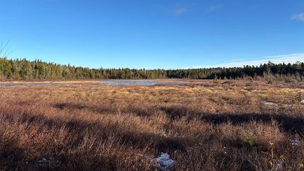 Hunting Land for sale in Penobscot County, Maine