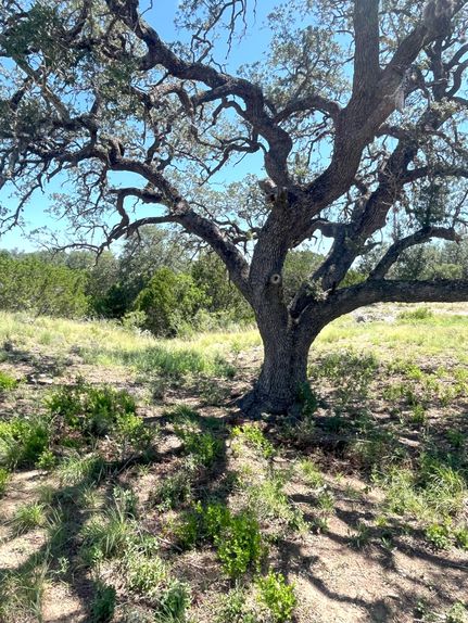 Undeveloped Land for sale in Real County, Texas