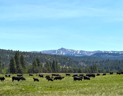 Ranch Property for sale in Modoc County, California