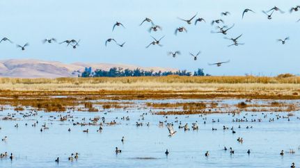 Property for sale in Solano County, California