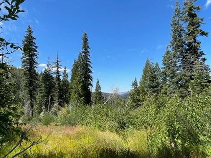 Property for sale in Plumas County, California