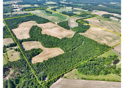 Undeveloped Land for sale in Houston County, Alabama