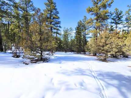 Property in Rio Arriba County, New Mexico