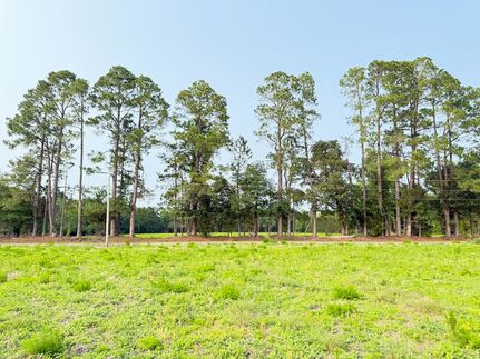 Residential Property for sale in Marlboro County, South Carolina