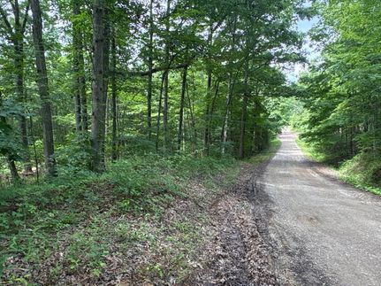 Undeveloped Land for sale in Scioto County, Ohio