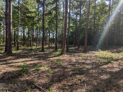Property in Elmore County, Alabama