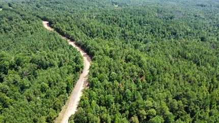 Property in Tuscaloosa County, Alabama