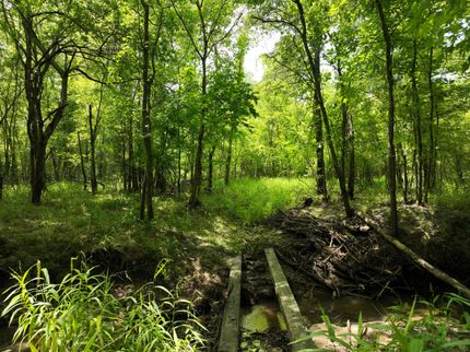 Property for sale in Clark County, Arkansas