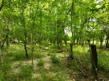 Recreational Property for sale in Clark County, Arkansas
