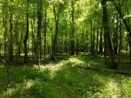 Property for sale in Clark County, Arkansas