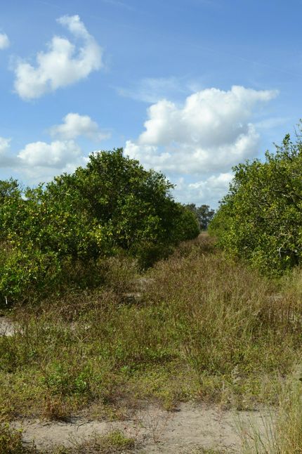 Property in Polk County, Florida