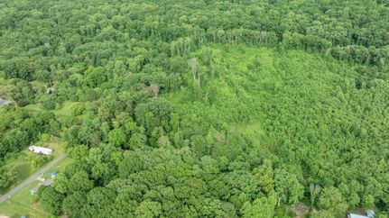 Undeveloped Land for sale in DeKalb County, Alabama