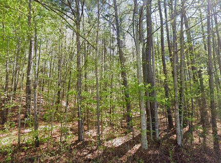 Property in Randolph County, Alabama