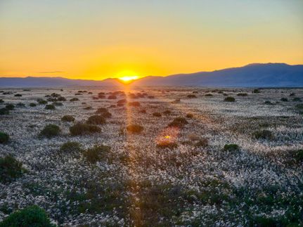 Recreational Property for sale in Humboldt County, Nevada