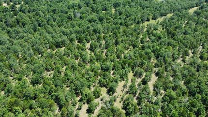 Property for sale in Pushmataha County, Oklahoma