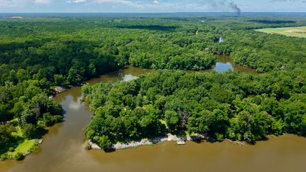 Undeveloped Land for sale in Lowndes County, Alabama