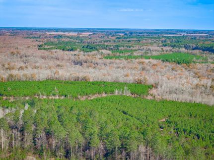 Property for sale in Dillon County, South Carolina