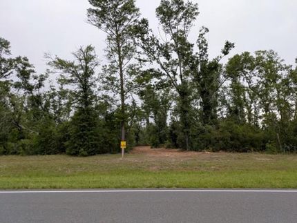 Undeveloped Land for sale in Lafayette County, Florida