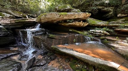 Property in Yadkin County, North Carolina