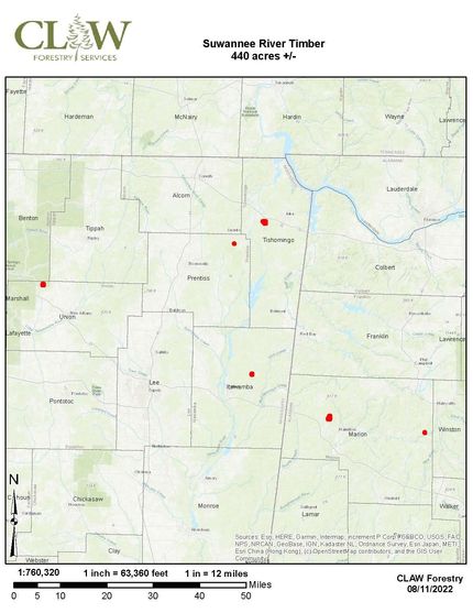 Property for sale in Tishomingo County, Mississippi