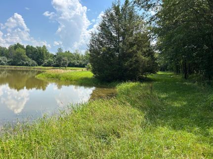 Property for sale in Wayne County, Illinois