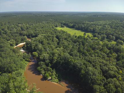 Property for sale in Clarke County, Mississippi