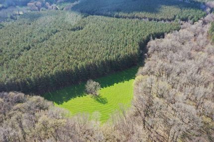 Property for sale in Marshall County, Mississippi