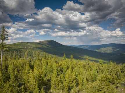 Ranch Property for sale in Flathead County, Montana