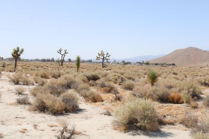 Property for sale in San Bernardino County, California